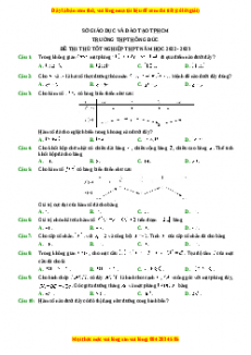 Đề thi thử Toán trường Hồng Đức - HCM năm 2023