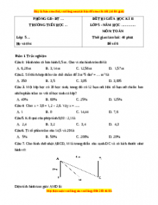 Đề thi giữa kì 2 Toán 5 năm 2023 (Đề 6)