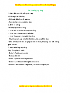 Lý thuyết Công nghệ 7 Cánh diều Bài 5: Trồng cây rừng