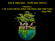 Giáo án powerpoint Các loài chung sống với nhau như thế nào | Kết nối tri thức Ngữ văn 6