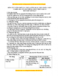 Giáo án Động tác vươn thở, tay, chân, lườn, bụng, toàn thân và nhảy của bài TDPTC Gdtc 3 Chân trời sáng tạo