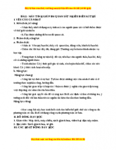 Giáo án Tin học 3 Cánh diều Bài 2: Máy tính giúp em quan sát nhiều điều kì thú