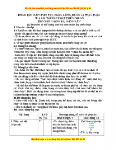 Giáo án Động tác vươn thở, tay, chân, lườn, bụng và toàn thân của bài TDPTC Gdtc 3 Chân trời sáng tạo