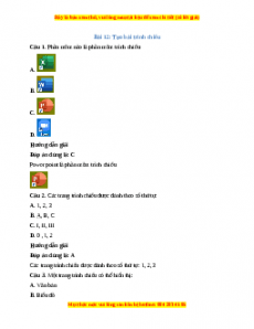 Trắc nghiệm Bài 12: Tạo bài trình chiếu