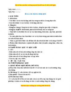 Giáo án Bài 24 KHTN 6 Cánh diều (2024): Đa dạng sinh học