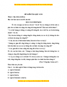 Đề thi học kì 2 Ngữ văn 6 Cánh diều (Đề 3)