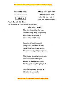 Đề thi giữa học kì 2 Ngữ Văn 10 Chân trời sáng tạo có đáp án (Đề 4)