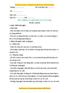 Giáo án Công nghệ 7 Bài 5 (Chân trời sáng tạo): Trồng và chăm sóc cây cải xanh