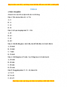 Bài tập cuối tuần Toán lớp 2 Tuần 20 Chân trời sáng tạo (có lời giải)