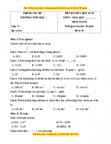 Đề thi giữa kì 2 Toán 5 năm 2023 (Đề 10)