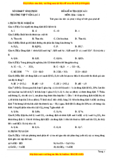 Đề thi học kì I Hóa lớp 11 trường THPT Yên Lạc 2 - Vĩnh Phúc