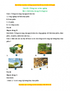 Bộ trắc nghiệm Công nghệ 7 Cánh diều có đáp án