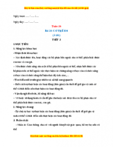 Giáo án TNXH 1 Kết nối tri thức Tuần 26