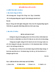 Đề thi giữa kì 2 Tiếng Việt lớp 2 Cánh diều (Đề 2)