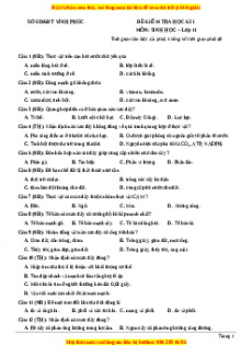 Đề thi học kì 1 Sinh học 11 Sở GD_ĐT Vĩnh Phúc