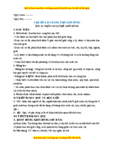 Giáo án Bài 14: Phân loại thế giới sống KHTN 6 Cánh diều