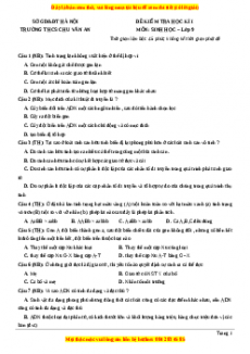 Đề thi học kì 1 Sinh học 9 năm 2023 trường THCS Chu Văn An - Hà Nội