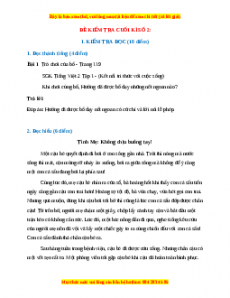 Đề thi cuối kì 1 Tiếng Việt lớp 2 Kết nối tri thức (Đề 2)