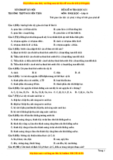 Đề thi học kì 1 Sinh học 11 trường THPT Nguyễn Trãi - Hà Nội