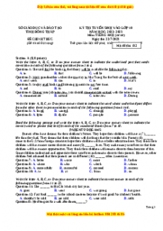 Đề thi vào 10 Tiếng Anh chính thức năm 2022 - 2023 (Đề 26)