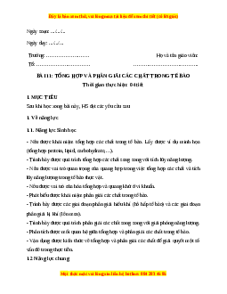 Giáo án Bài 11: Tổng hợp và phân giải các chất trong tế bào Sinh học 10 Cánh diều