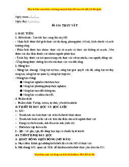 Giáo án Bài 34 KHTN 6 Kết nối tri thức (2024): Thực vật