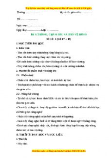 Giáo án Công nghệ 7 Bài 8 (Kết nối tri thức): Trồng, chăm sóc và bảo vệ rừng