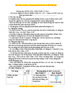 Giáo án Động tác vươn thở và tay của bài TD phát triển chung Gdtc 3 Chân trời sáng tạo