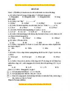 Bộ đề thi Toán 5 học kì 2 năm 2022 - 2023 - Đề 45