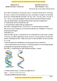 Đề thi học kì 1 Sinh học 9 năm 2023 Phòng GD_ĐT Quận 10 - TP HCM
