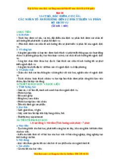 Giáo án Bài 26 Địa lí 10 Cánh Diều (2024): Vai trò, đặc điểm, cơ cấu, các nhân tố ảnh hưởng đến sự phát triển và phân bố dịch vụ