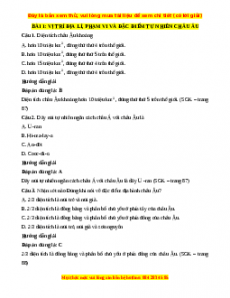 Bộ trắc nghiệm Địa lí 7 Cánh diều có đáp án