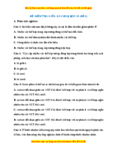 Đề thi giữa kì 2 Sinh học 10 Kết nối tri thức (Đề 2)