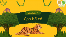 Bài giảng điện tử Con hổ có nghĩa | Kết nối tri thức Ngữ văn 7