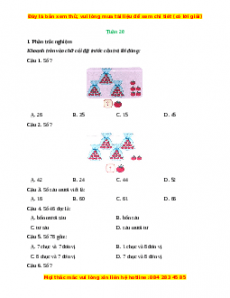 Phiếu bài tập cuối tuần Toán lớp 1 Tuần 20 Kết nối tri thức