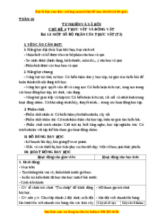 Giáo án Tự nhiên và xã hội 3 Kết nối tri thức Bài 13: Một số bộ phận của thực vật (Tiết 3)