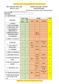 Đề thi thử THPT Quốc Gia môn Hóa năm 2023 có đáp án ( đề 9 ) - thầy Nguyễn Ngọc Anh