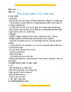 Giáo án Bài 23 KHTN 6 Cánh diều (2024): Đa dạng động vật có xương sống