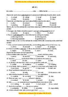 Đề thi giữa kì 1 Tiếng anh 12 năm 2022 - 2023 (Đề 1)