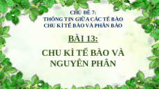 Giáo án Powerpoint Bài 10: Sinh học 13 Cánh diều: Chu kì tế bào và nguyên phân