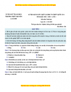 Đề thi thử Sinh học trường Chuyên Lam Sơn - Thanh Hóa lần 1 năm 2023
