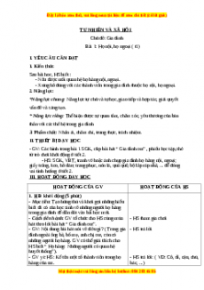 Giáo án Bài 1: Họ nội, họ ngoại Tự nhiên và xã hội lớp 3 Chân trời sáng tạo