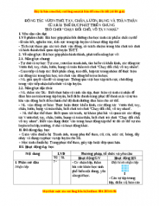 Giáo án Động tác vươn thở, tay, chân, bụng và toàn thân của bài TDPTC - TC Gdtc 3 Chân trời sáng tạo