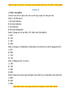 Bài tập cuối tuần Toán lớp 2 Tuần 33 Chân trời sáng tạo (có lời giải)