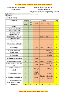 Đề thi thử THPT Quốc Gia môn Hóa năm 2023 có đáp án ( đề 11 ) - thầy Nguyễn Ngọc Anh