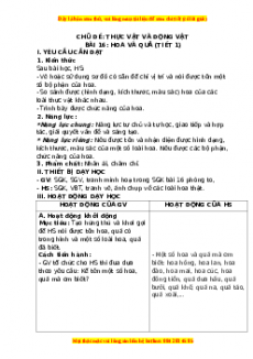 Giáo án Bài 16: Hoa và quả (Tiết 2) Tự nhiên và xã hội lớp 3 Chân trời sáng tạo