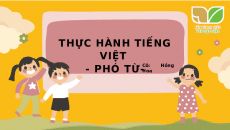 Bài giảng điện tử Thực hành tiếng Việt Phó từ | Kết nối tri thức Ngữ văn 7