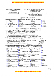 Đề thi vào 10 Tiếng Anh chính thức năm 2022 - 2023 (Đề 23)