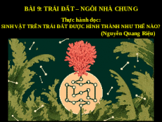 Giáo án powerpoint Thực hành đọc Sinh vật trên trái đất được hình thành như thế nào | Kết nối tri thức Ngữ văn 6