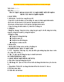 Giáo án Bài 37 KHTN 6 Kết nối tri thức (2024): Thực hành: Quan sát và nhận biết một số nhóm động vật ngoài thiên nhiên